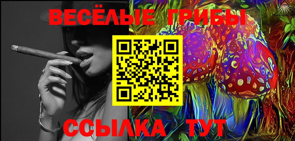 Псилоцибиновые грибы мухоморы Горячий Ключ