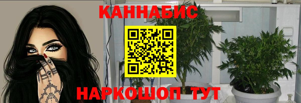 Марихуана Bruce Banner Горячий Ключ